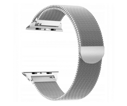 Pasek i akcesoria do zegarków TECH-PROTECT Milaneseband do Apple Watch 40/41/42 mm silver